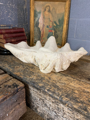 A white plaster Giant Clam Shell sculpture (Tridacna Gigas)- large