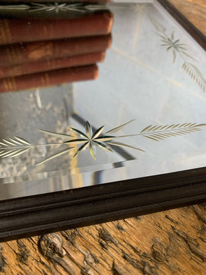 A pair of black mirrors with etched plates