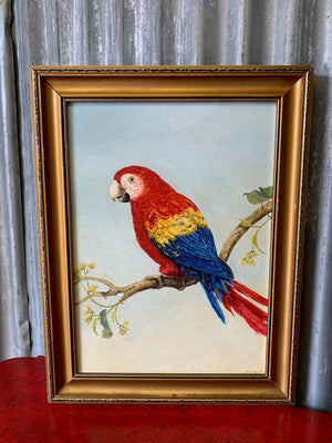 An original painting on board of a scarlet macaw