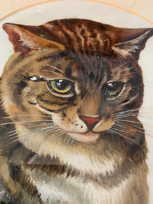 A framed portrait of a tabby cat