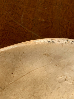 An anatomical plaster skull model