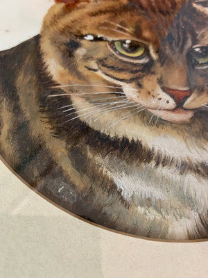 A framed portrait of a tabby cat