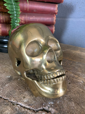 A life-size brass human skull model