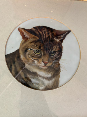 A framed portrait of a tabby cat