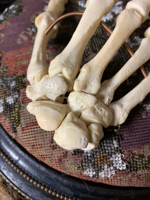A real human skeleton hand