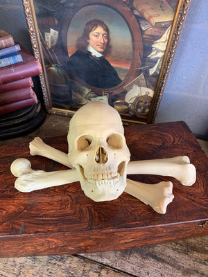 A boxed Adam Rouilly half skeleton