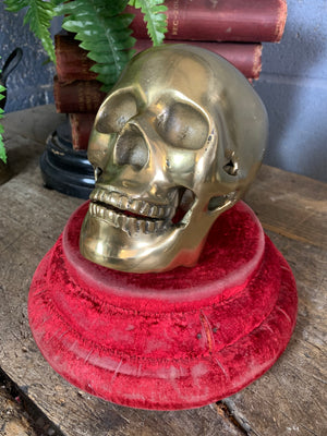 A life-size brass human skull model