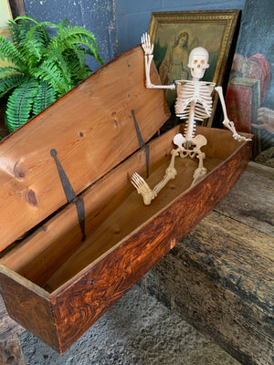 A Victorian coffin box with half-sized anatomical skeleton model