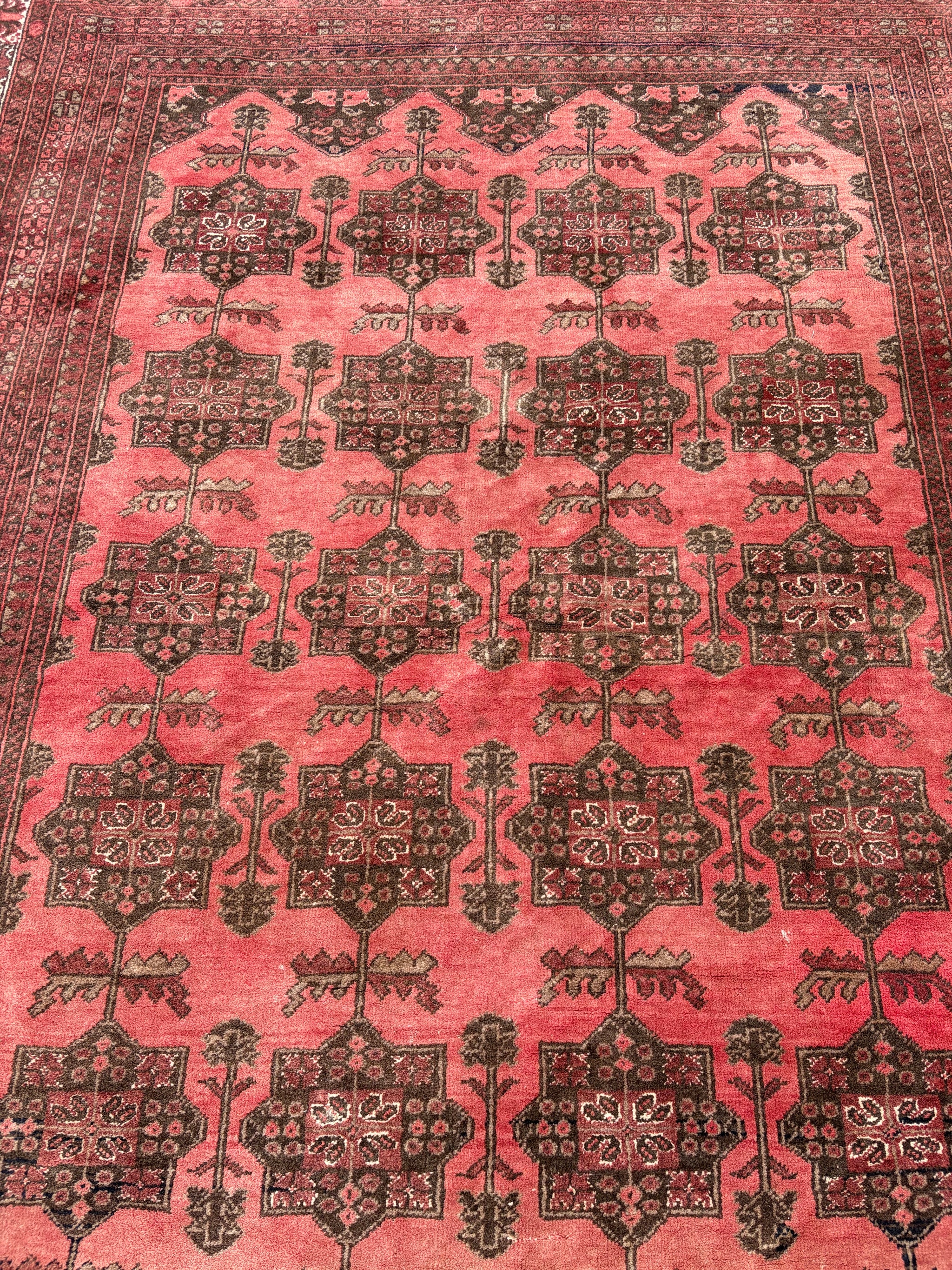 A large red ground Bokhara carpet rug ~ 285cm x 210cm