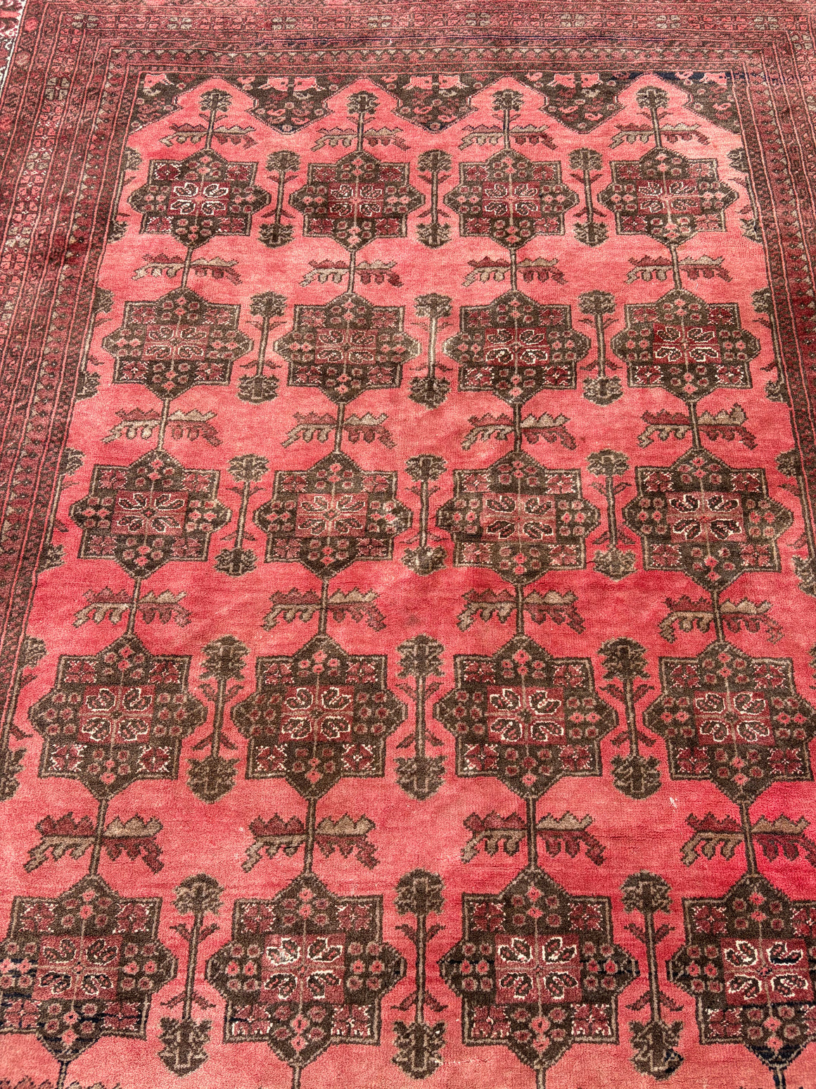 A large red ground Bokhara carpet rug ~ 285cm x 210cm