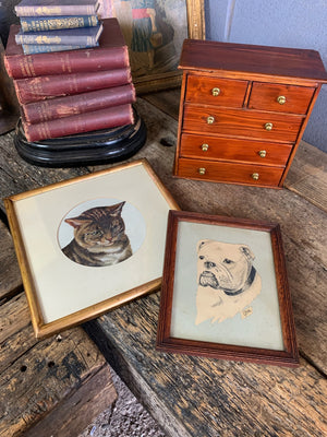 A framed portrait of a tabby cat