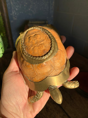 An early 20th century taxidermy tortoise snuff box