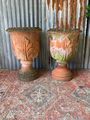 A pair of large terracotta acanthus urns