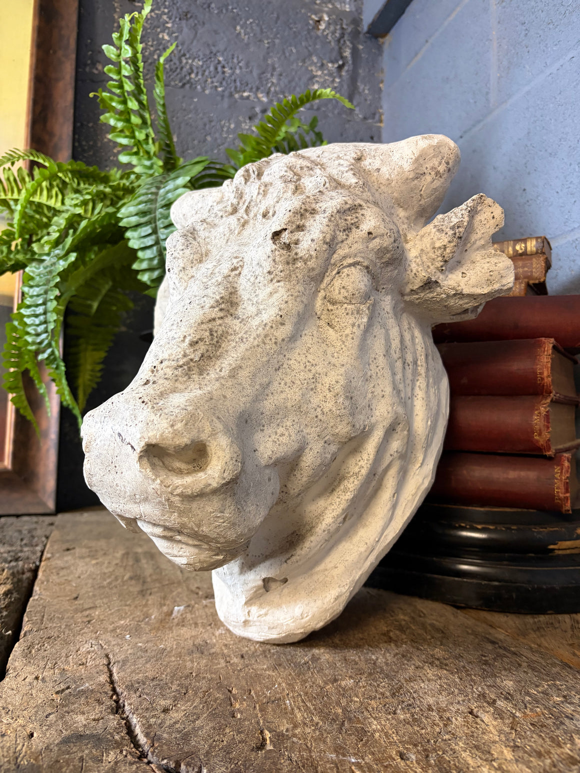 A butcher’s trade sign model of a bull's head
