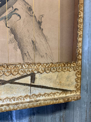 A 19th Century trompe l'oeil framed bird cage picture