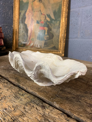 A white plaster Giant Clam Shell sculpture (Tridacna Gigas)- small