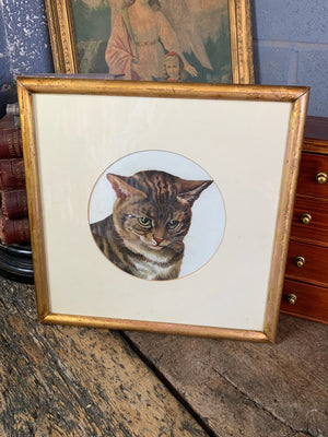 A framed portrait of a tabby cat