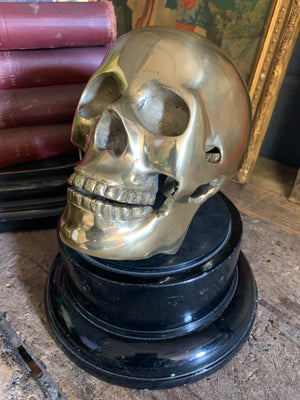 A life-size brass human skull model