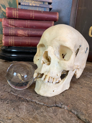 A Victorian crystal ball with box and stand