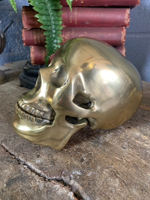 A life-size brass human skull model