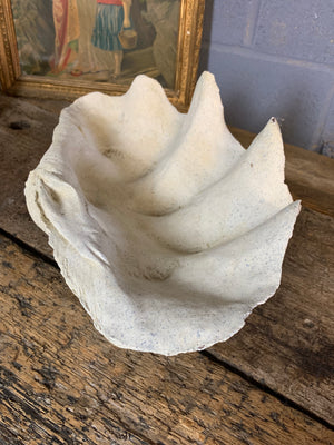 A white plaster Giant Clam Shell sculpture (Tridacna Gigas)- medium