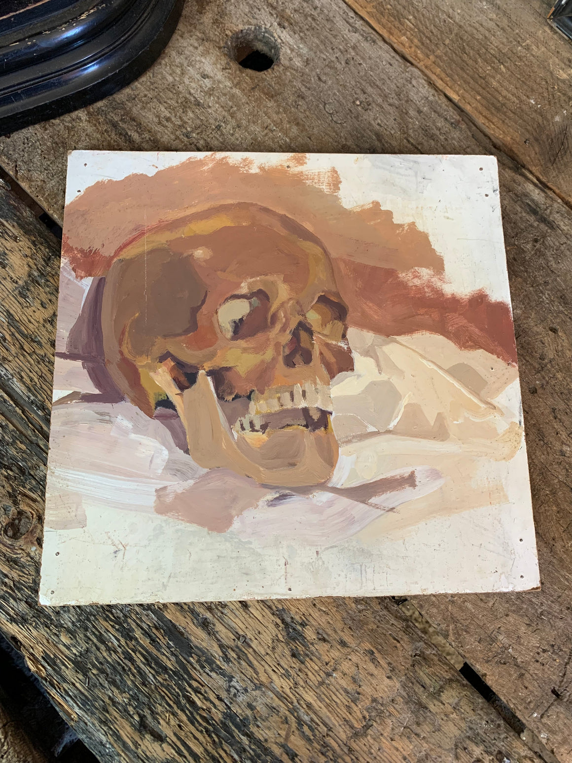 A skull study oil painting