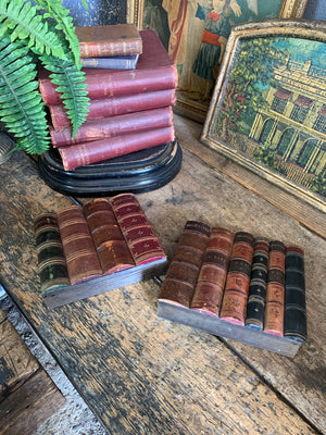 A wood and leather book spine hideaway panel ~B