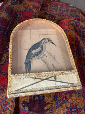 A 19th Century trompe l'oeil framed bird cage picture