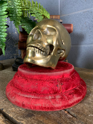 A life-size brass human skull model