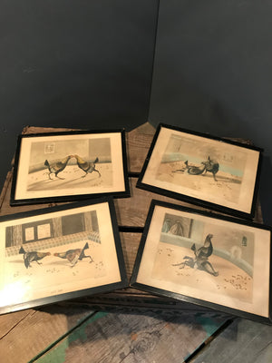 A Complete Set of Four Alken & Stock Cock Fighting Tinted Engravings