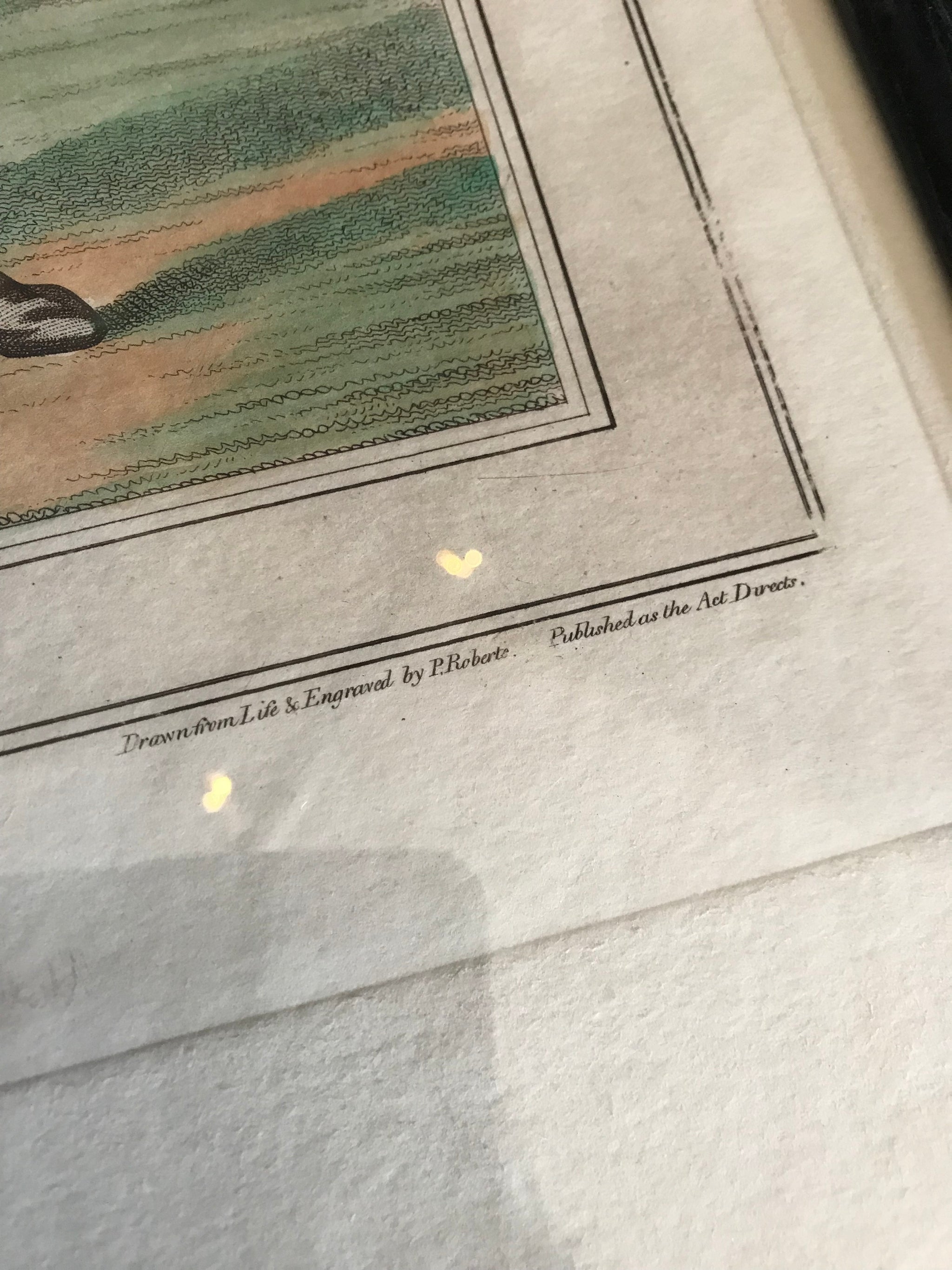 A pair of Georgian bare knuckle boxer engravings