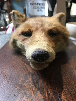 An Allen & Co taxidermy fox head death mask on a wooden shield