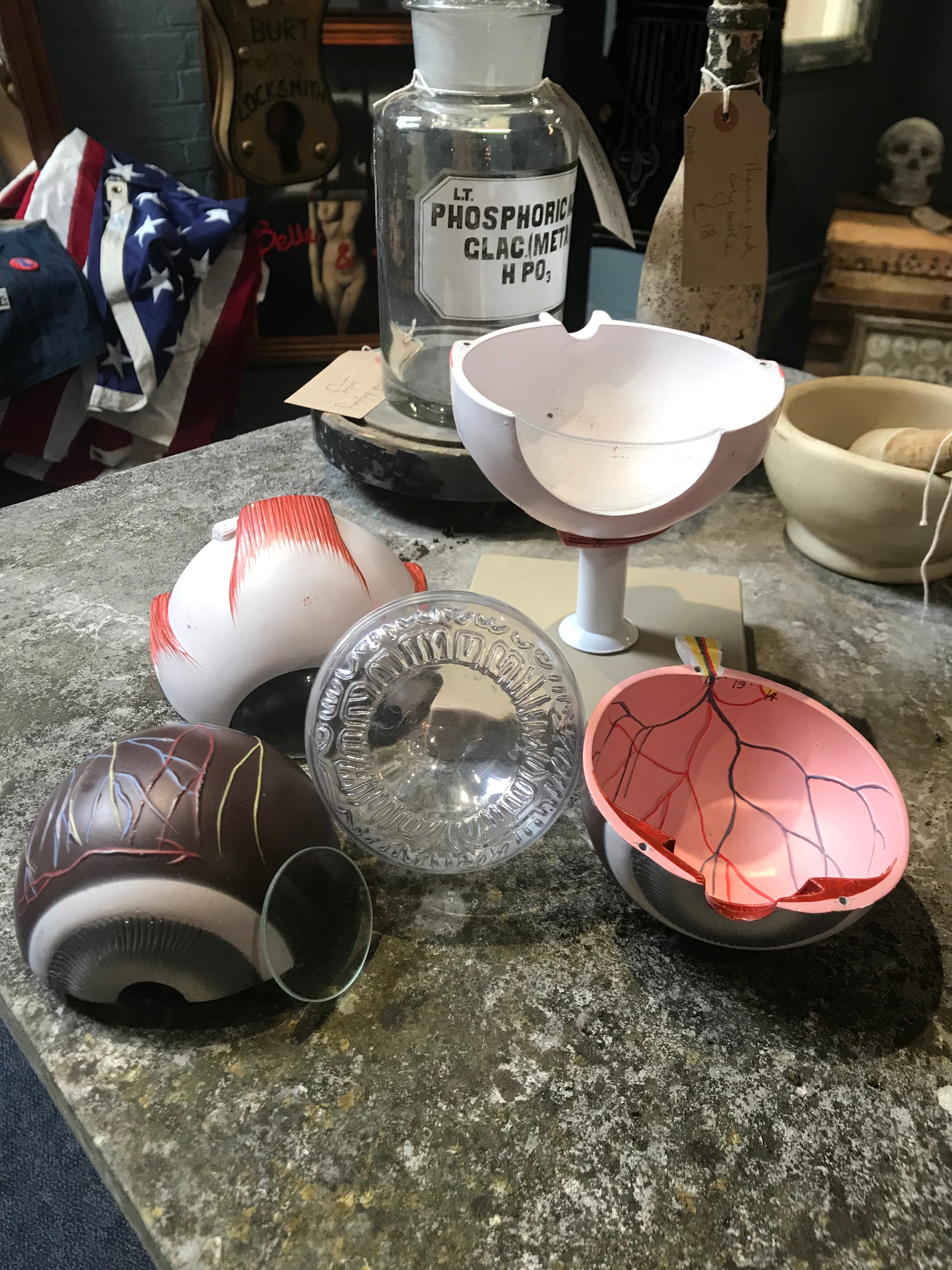 An interactive anatomical model of an eye on a stand