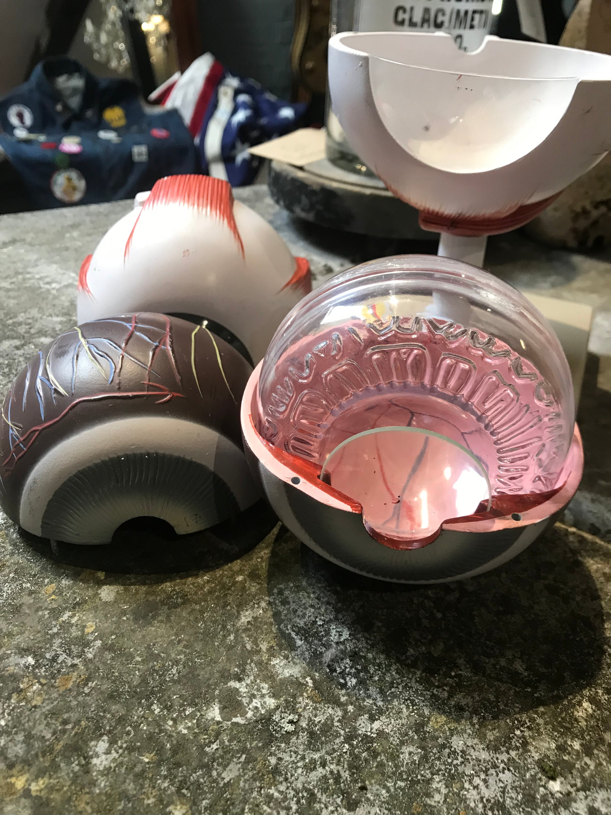 An interactive anatomical model of an eye on a stand