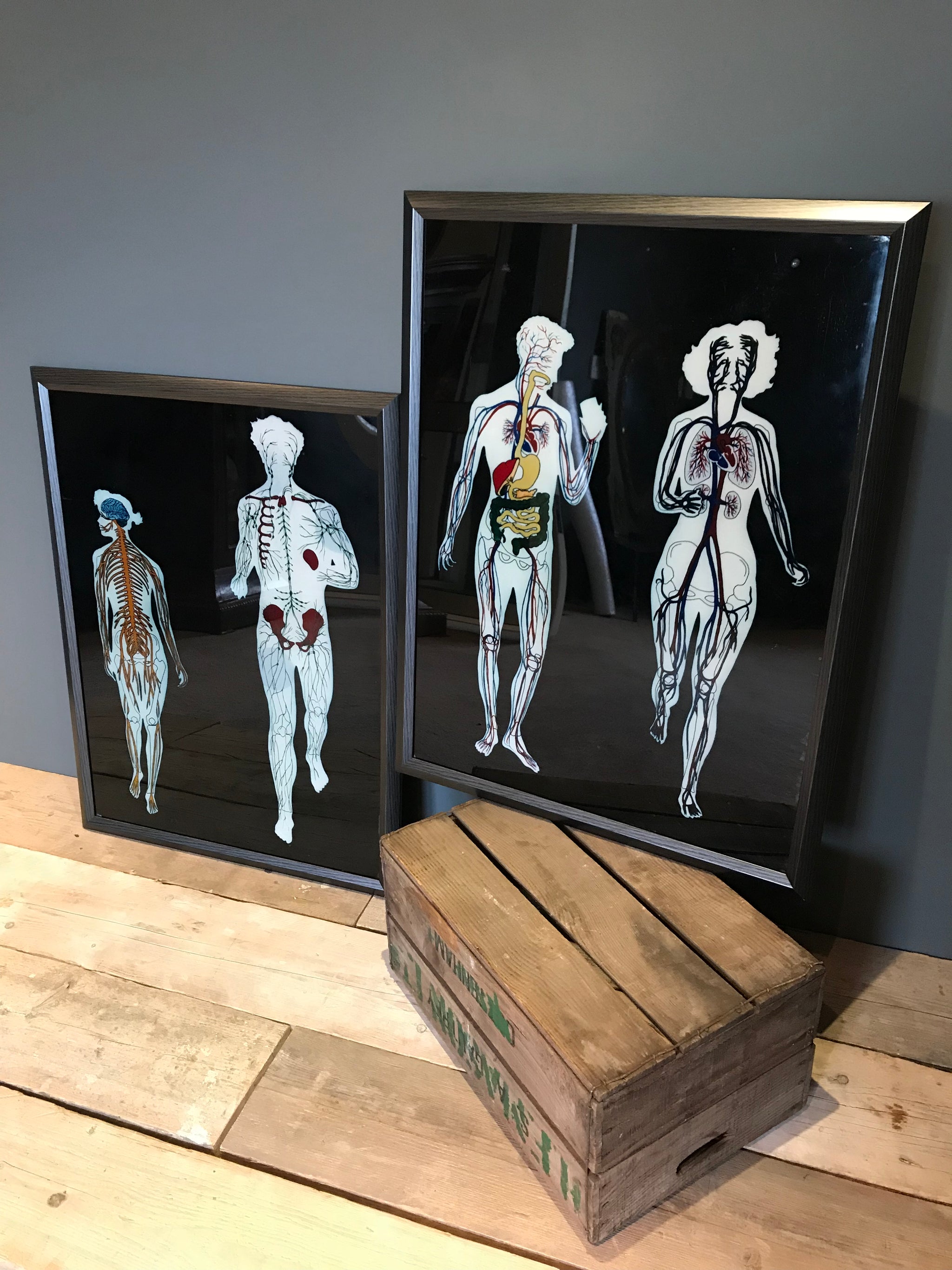 Reverse painted anatomical art on Perspex