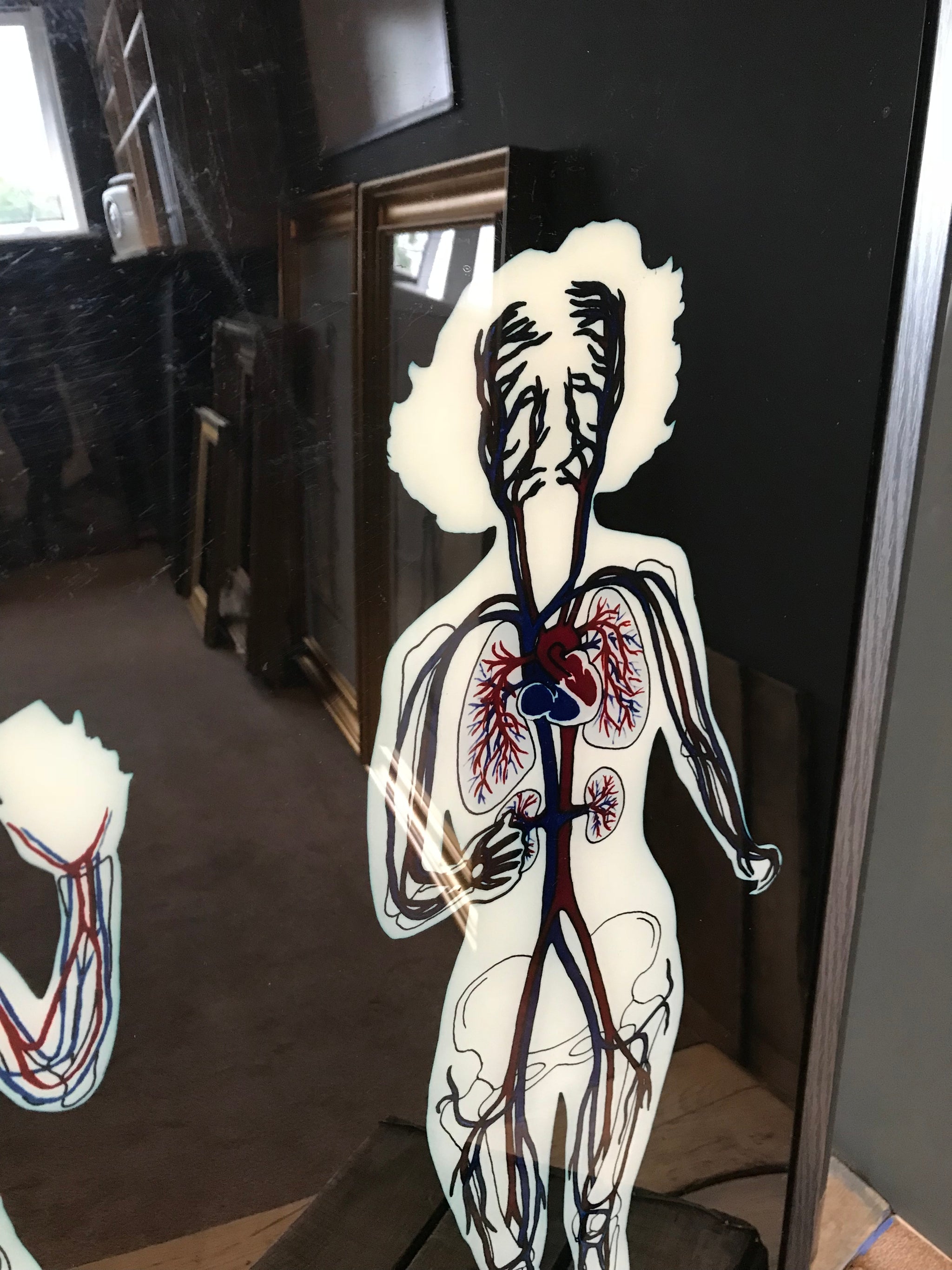 Reverse painted anatomical art on Perspex