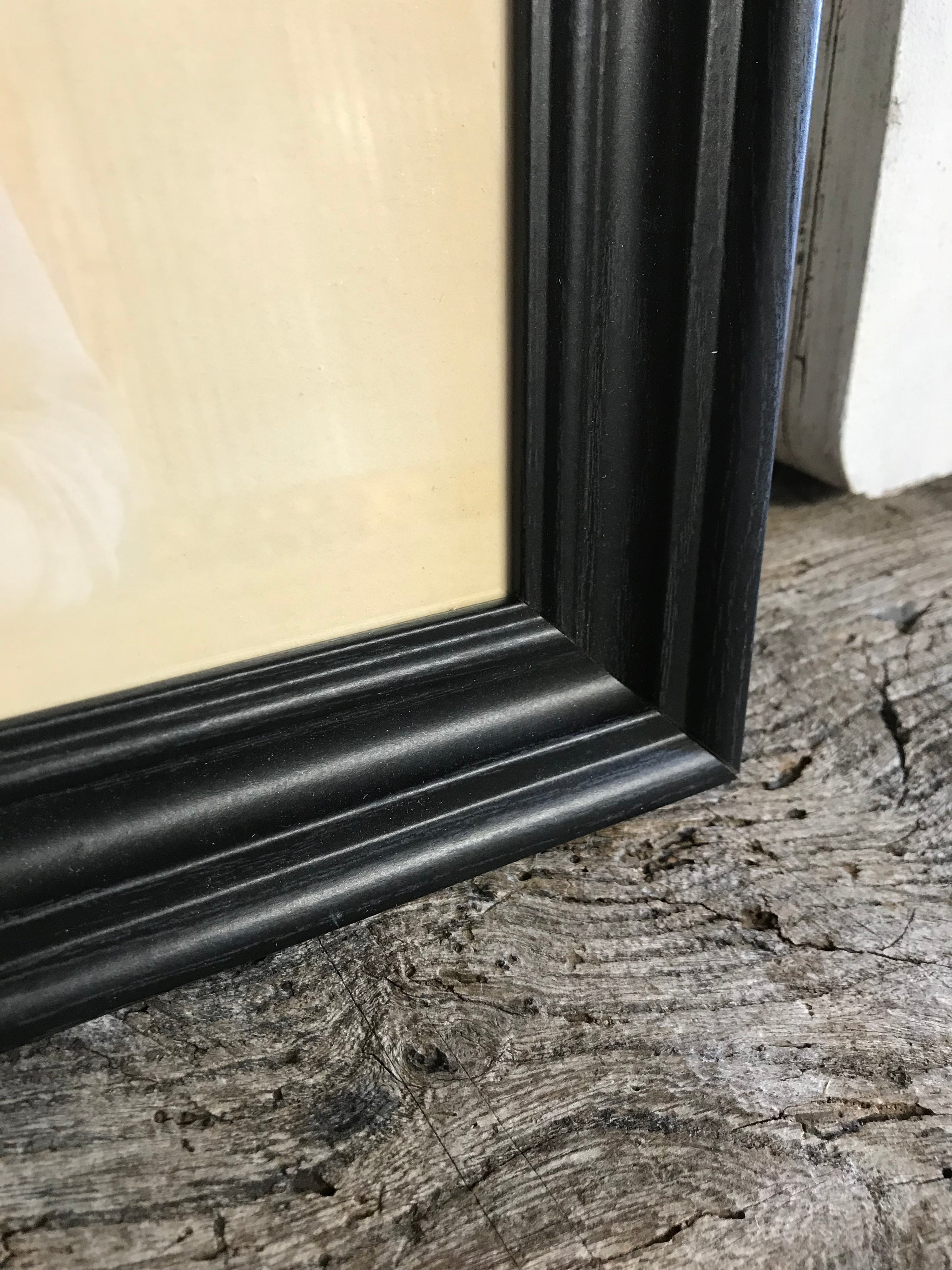 A large Mid-Century anatomical brain poster from Brocades pharmaceutical #3