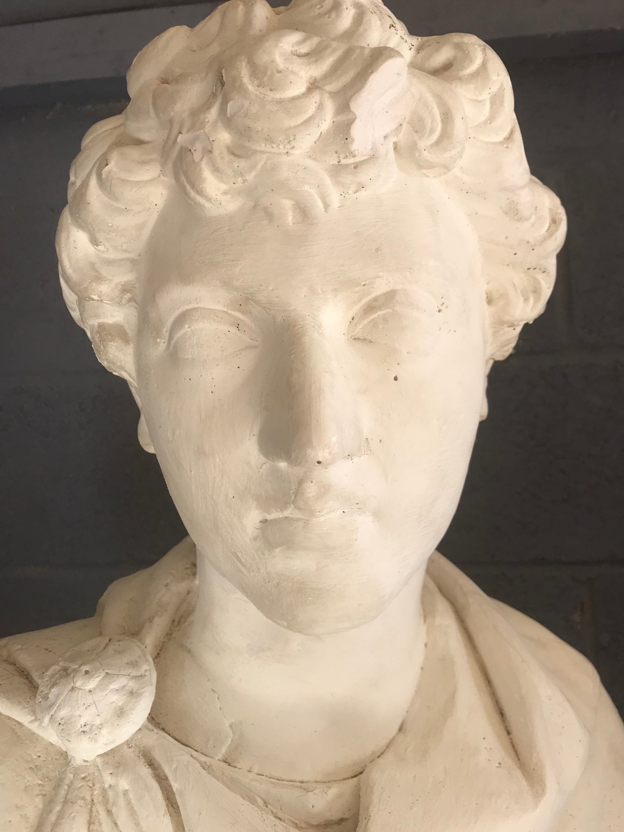 A large Neoclassical Roman bust in white plaster
