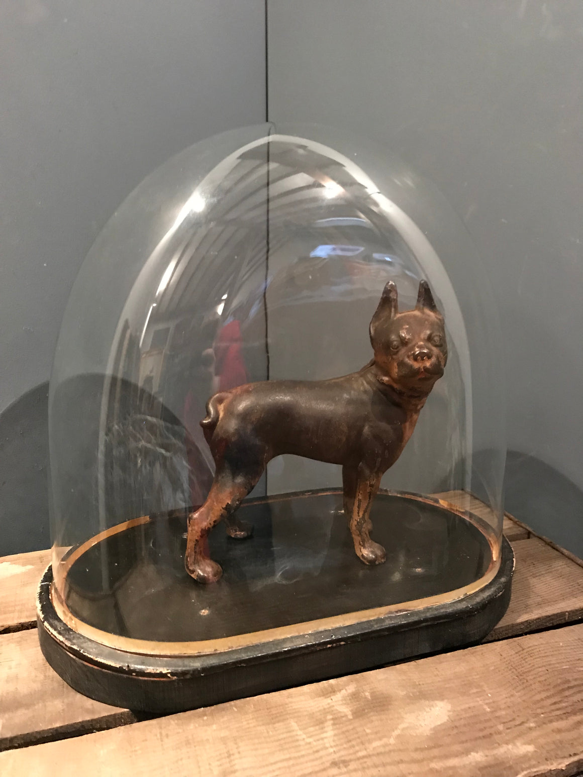 A cast iron Boston Terrier