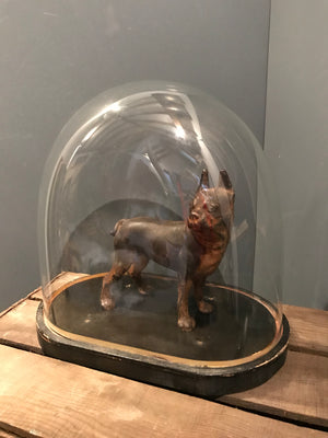 A cast iron Boston Terrier