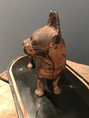 A cast iron Boston Terrier