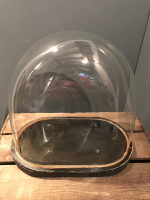 An ebonised glass display dome