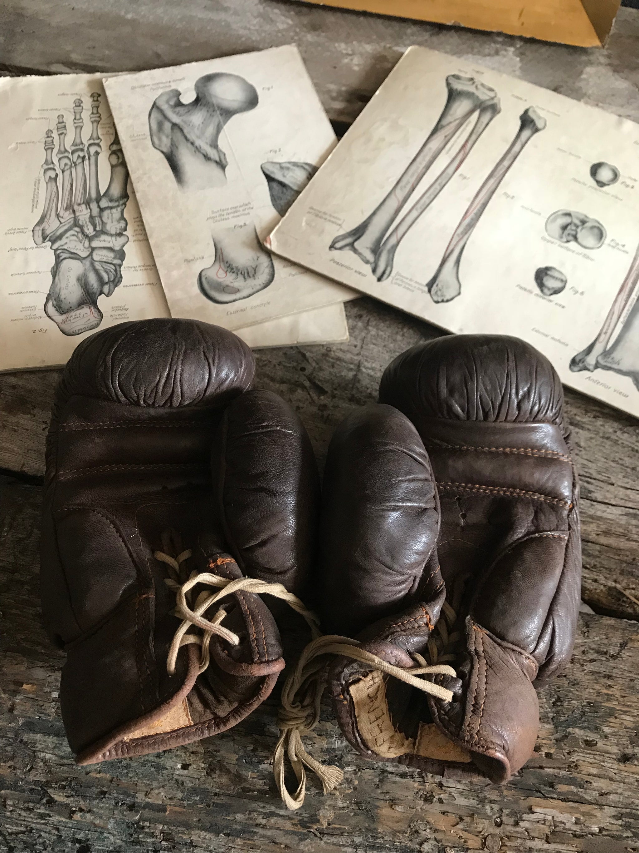 Bryan hot sale boxing gloves