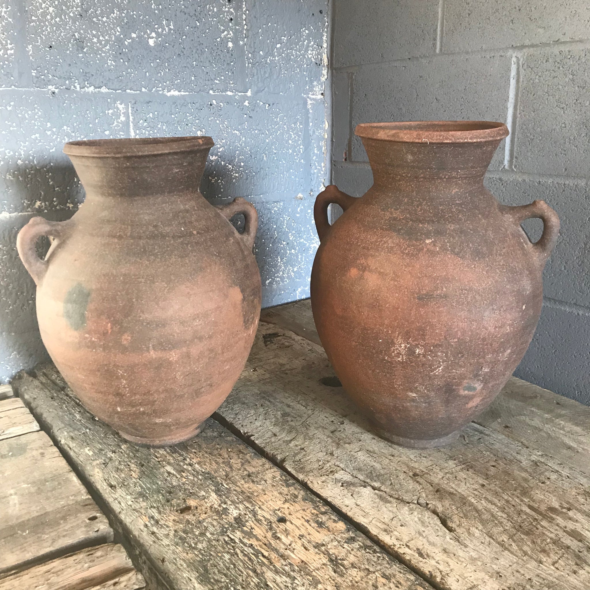 A pair of large terracotta urns with double lug handles