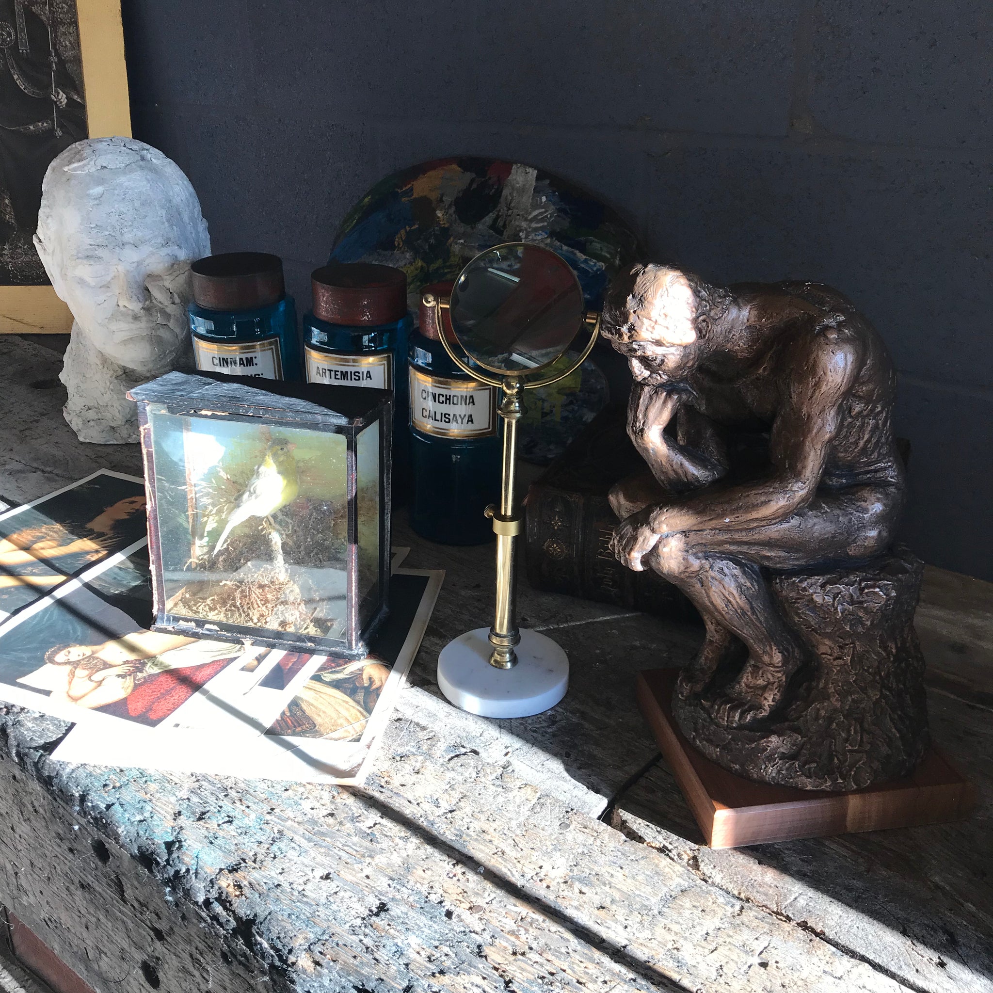 A cased Victorian taxidermy canary bird
