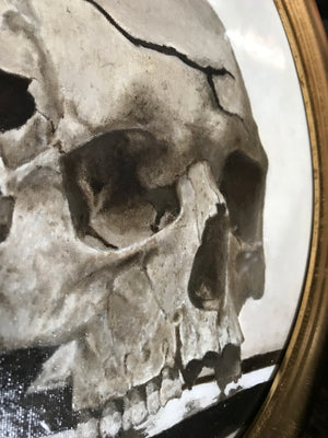 An original anatomical memento mori vanitas oil painting of a skull