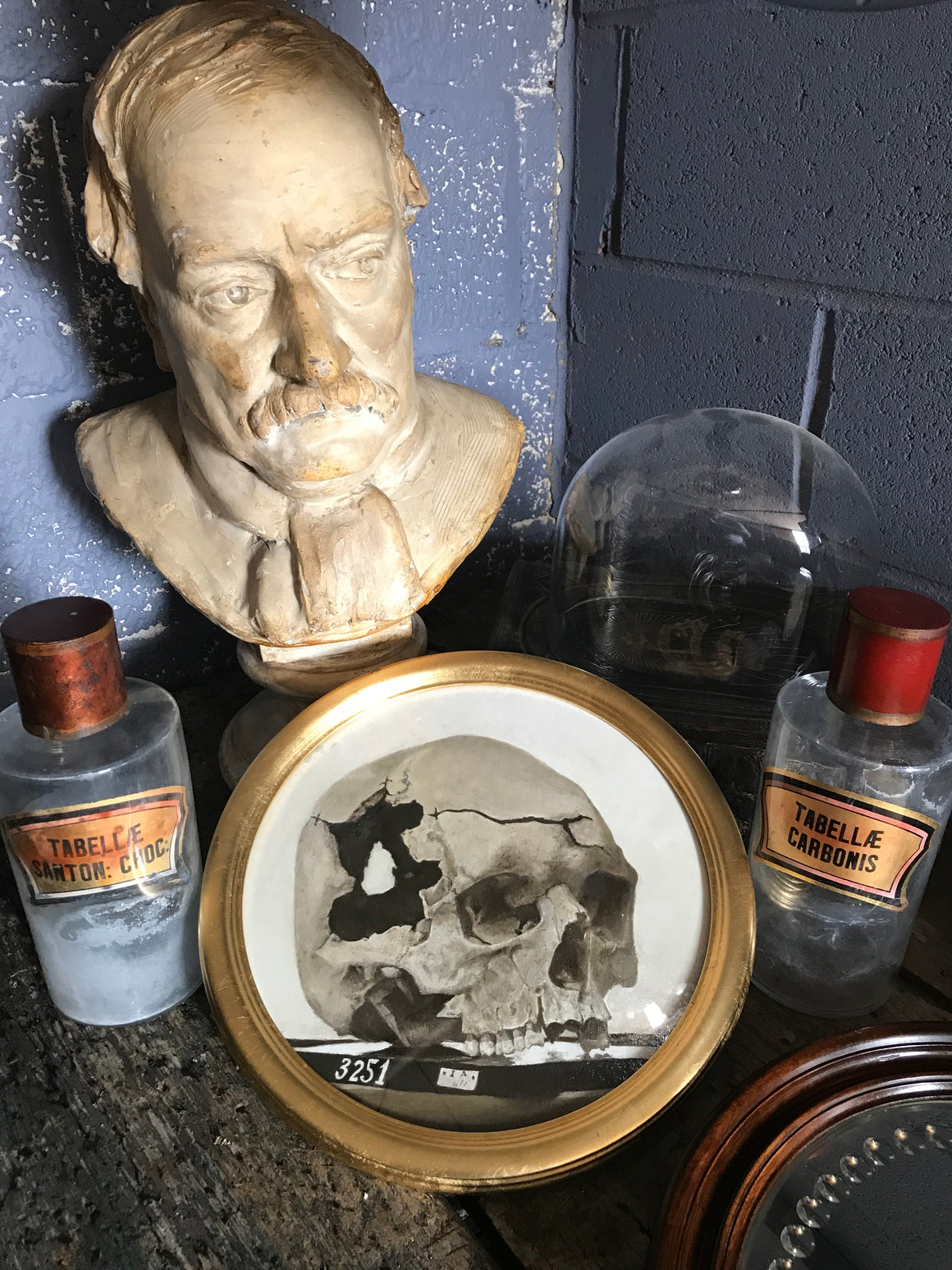 An original anatomical memento mori vanitas oil painting of a skull