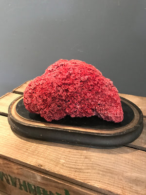 A rare natural red coral specimen- large