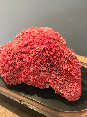 A rare natural red coral specimen- large