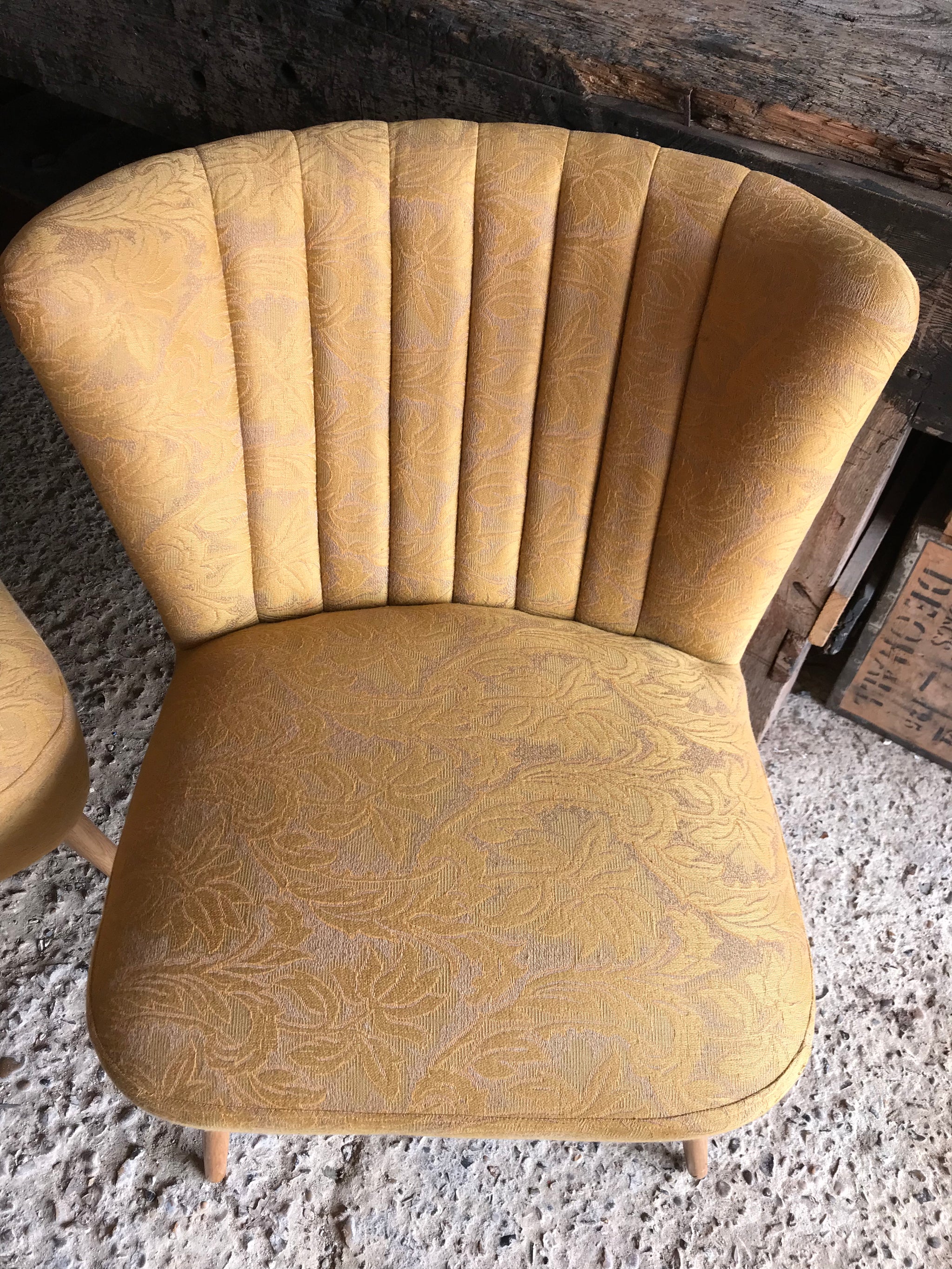 A pair of mid century modern mustard shell back cocktail chairs